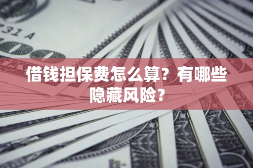 武汉借钱担保费怎么算？有哪些隐藏风险？