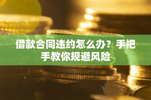武汉借款合同违约怎么办？手把手教你规避风险