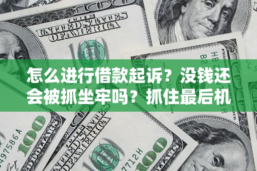 武汉怎么进行借款起诉？没钱还会被抓坐牢吗？抓住最后机会！