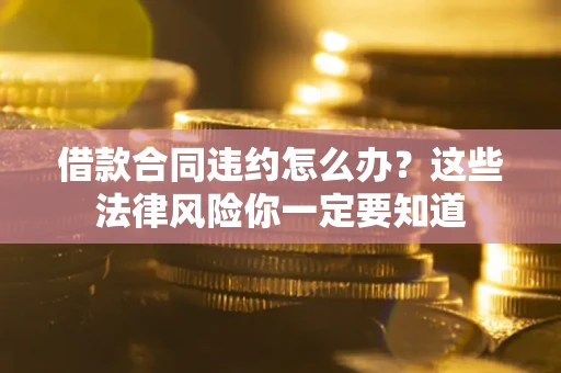 武汉借款合同违约怎么办？这些法律风险你一定要知道