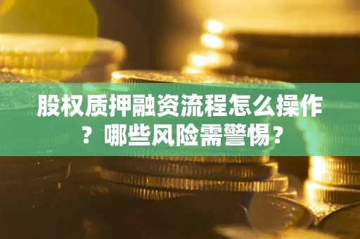 武汉股权质押融资流程怎么操作？哪些风险需警惕？