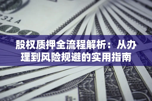 武汉股权质押全流程解析：从办理到风险规避的实用指南