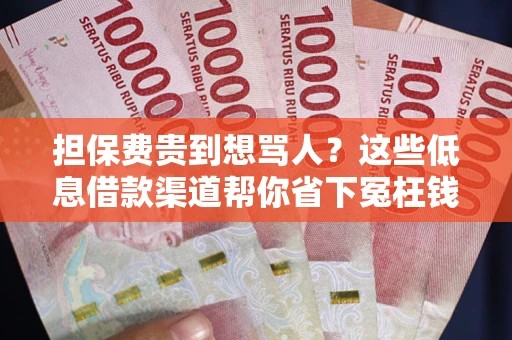 武汉担保费贵到想骂人？这些低息借款渠道帮你省下冤枉钱