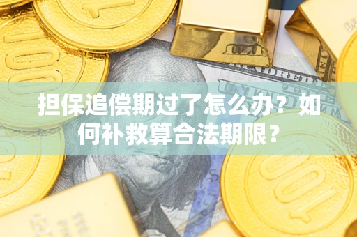武汉担保追偿期过了怎么办？如何补救算合法期限？