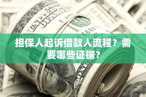 武汉担保人起诉借款人流程？需要哪些证据？
