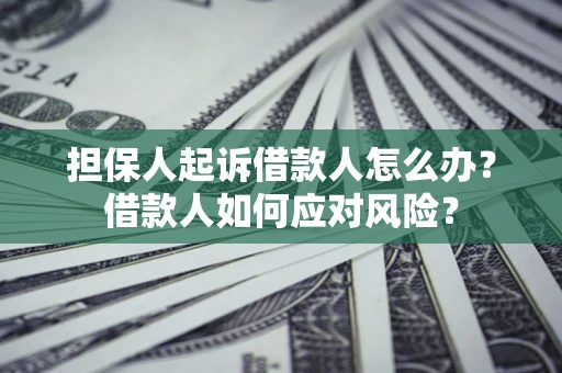 武汉担保人起诉借款人怎么办？借款人如何应对风险？