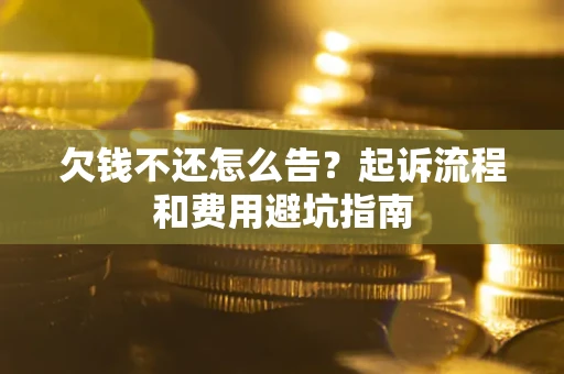 武汉欠钱不还怎么告？起诉流程和费用避坑指南