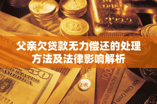 武汉父亲欠贷款无力偿还的处理方法及法律影响解析