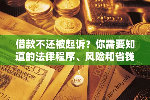 武汉借款不还被起诉？你需要知道的法律程序、风险和省钱技巧